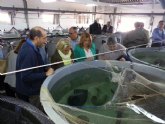 Martínez-Cachá estudia con el sector las posibles fórmulas para aumentar la operatividad de la actividad acuícola en la Región