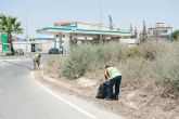 Proceden a limpiar los arcenes de la carretera Mazarrón-Puerto