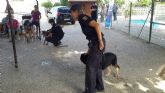 Fundamifp acogió la una exhibición de la Unidad Canina de Policía Nacional en Murcia