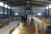El sector ovino y caprino regional supone el 10,7 por ciento de la producción final ganadera y genera 78 millones de euros
