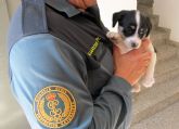 La Guardia Civil imputa a dos personas el abandono de un cachorro de perro