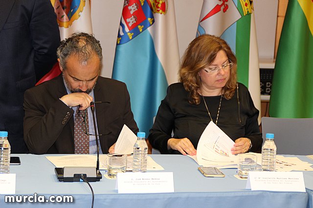 La Comunidad crear una plataforma tecnolgica para facilitar la participacin ciudadana - 11