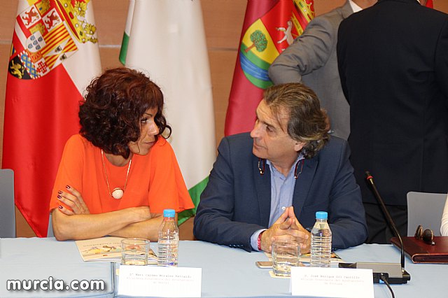 La Comunidad crear una plataforma tecnolgica para facilitar la participacin ciudadana - 14