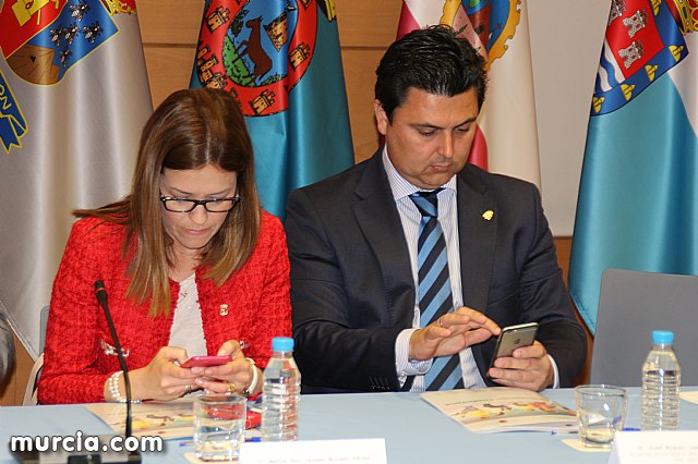 La Comunidad crear una plataforma tecnolgica para facilitar la participacin ciudadana - 24