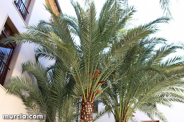 La Comunidad crear una plataforma tecnolgica para facilitar la participacin ciudadana - 33