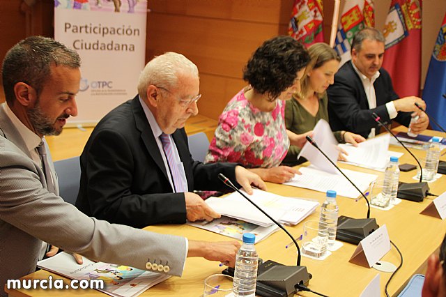 La Comunidad crear una plataforma tecnolgica para facilitar la participacin ciudadana - 40