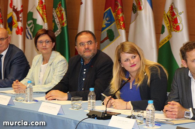 La Comunidad crear una plataforma tecnolgica para facilitar la participacin ciudadana - 37