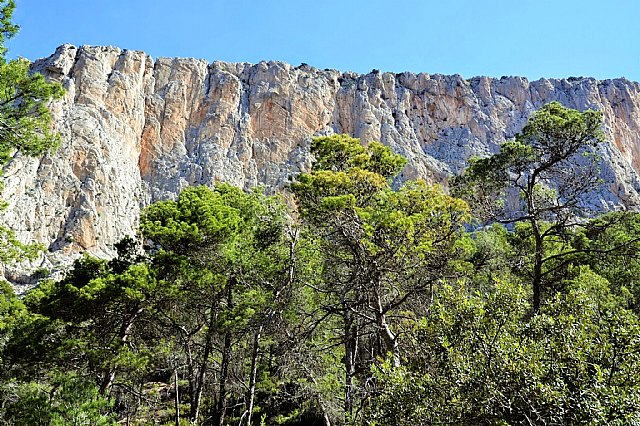 Una modlica restauracin sita Sierra Espuña como ejemplo de ecoturismo - 10