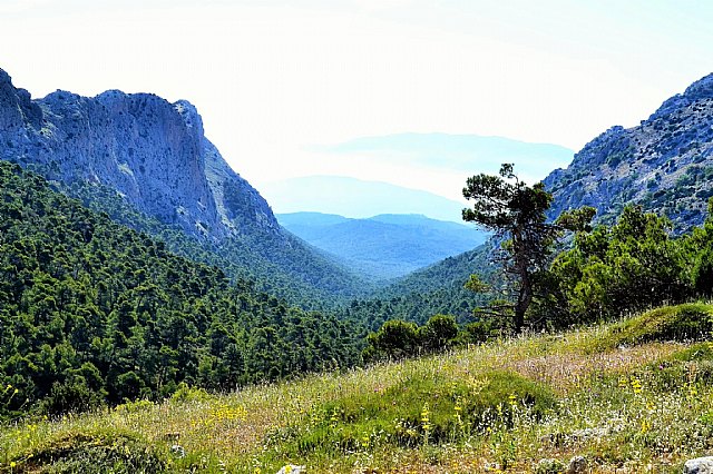 Una modlica restauracin sita Sierra Espuña como ejemplo de ecoturismo - 6