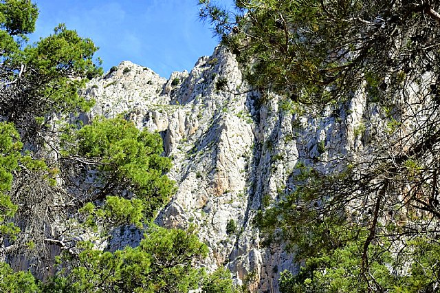 Una modlica restauracin sita Sierra Espuña como ejemplo de ecoturismo - 11