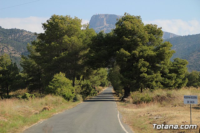 Mejorarn la carretera Aledo-Bullas en la zona de acceso al Parque Regional de Sierra Espuña - 1