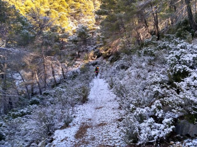 Caen las primeras nieves de este año en Sierra Espuña - 1