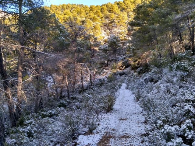 Caen las primeras nieves de este año en Sierra Espuña - 10