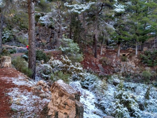 Caen las primeras nieves de este año en Sierra Espuña - 17