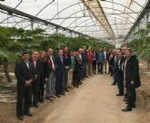 Grupo Durán muestra la tecnología y técnicas que le han convertido en el primer productor de papaya de Europa