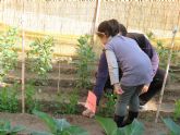 166 centros escolares reciben 5.000 plantones y sobres de semillas para sus Huertos Escolares Ecológicos