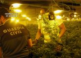 La Guardia Civil desmantela un invernadero clandestino con cerca de 2.000 plantas de cannabis