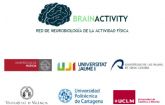 La Universidad de Murcia coordinará la red 'BrainActivity' en Neurobiología del ejercicio