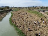 Más de 100 personas participan en la recuperación del río Segura en Ceutí, estableciendo un bosque de ribera