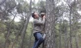 Comienza un proyecto de mejora de refugios artificiales para los murciélagos amenazados en Sierra Espuña