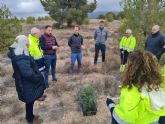 Aguas de Lorca planta 600 árboles para contribuir a la descarbonización y combatir la deforestación