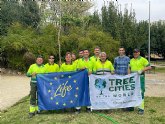 Cieza, reconocida por cuarto ao consecutivo como municipio 'Tree Cities of the World' por su compromiso con la conservacin del arbolado y la biodiversidad urbana