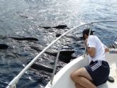 Bautismos de buceo y avistamientos de cetáceos con la concejalía de Juventud de Mazarrón