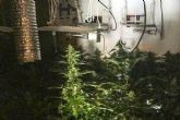 La Policía Local de Cartagena detiene al presunto responsable de una plantación de marihuana en Pozo Estrecho