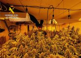 La Guardia Civil detiene a una pareja en Archena por cultivo ilícito de marihuana