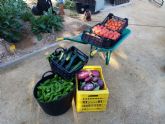 Cáritas y Asamblea Comarcal de Cruz Roja en Molina de Segura reciben las hortalizas recolectadas en el Huerto de Ocio La Estación