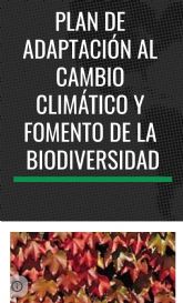 El CEIP Cervantes de Molina de Segura desarrolla un Plan de Adaptación al Cambio Climático y Fomento de la Biodiversidad