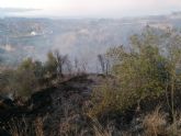 Incendio agrícola en Pliego