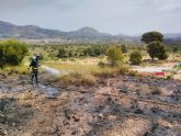 Bomberos del CEIS apagan un conato de incendio forestal en Barinas	