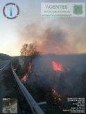 Servicios de emergencia acuden a la extincin de un incendio de caas en la misma zona del incendio ocurrido esta maana zona del ro en Albudeite