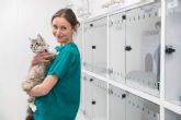 VetFormación demuestra su compromiso con el bienestar animal y ética en la práctica veterinaria