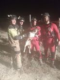 Servicios de emergencia rescatan a un animal que había caído en una balsa en Lorquí
