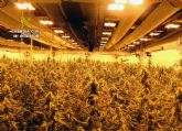 La Guardia Civil desmantela un grupo criminal de ámbito internacional dedicado al cultivo intensivo de marihuana