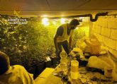La Guardia Civil desmantela un invernadero subterrneo de con cerca de un millar de plantas de marihuana