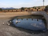 El PSOE solicita la reparación urgente del estanque de Doña Inés para evitar la pérdida de este espacio natural