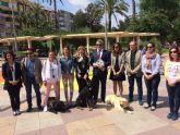 La Plaza de España de Molina de Segura acoge una exhibición de perros guía de la ONCE para mostrar cómo dan seguridad y movilidad a las personas ciegas