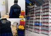 La Guardia Civil esclarece la sustracción de más de ocho toneladas de limones y 36 palots