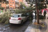 Los Bomberos de Cartagena intervienen por la caida de ramas de arboles y rayos durante la tormenta de este mediodia