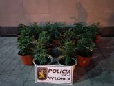 La Policía Local de Lorca detiene a 6 personas en el marco de las actuaciones preventivas y operativas para garantizar la seguridad ciudadana en el municipio