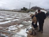 La consejera de Agricultura y el alcalde de Totana visitan los parrales de uva de mesa damnificados en El Raiguero por el temporal de nieve