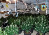 Desmanteladas en Bullas dos plantaciones indoor de marihuana con más de un centenar de plantas