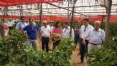 El campo de Cartagena incrementa la superficie de producción ecológica en más de un 30 por ciento en los últimos cinco años