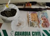 La Guardia Civil desmantela un grupo delictivo dedicado al cultivo y trfico de cannabis