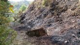 La Guardia Civil esclarece un incendio forestal con un investigado
