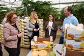 IMIDA y Ayuntamiento colaboran con productores agrícolas en la mejora de los cultivos tropicales