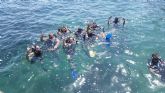 Un centenar de jóvenes disfruta de los bautismos de buceo y avistamientos de cetáceos